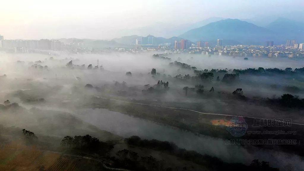 救援男孩与狗